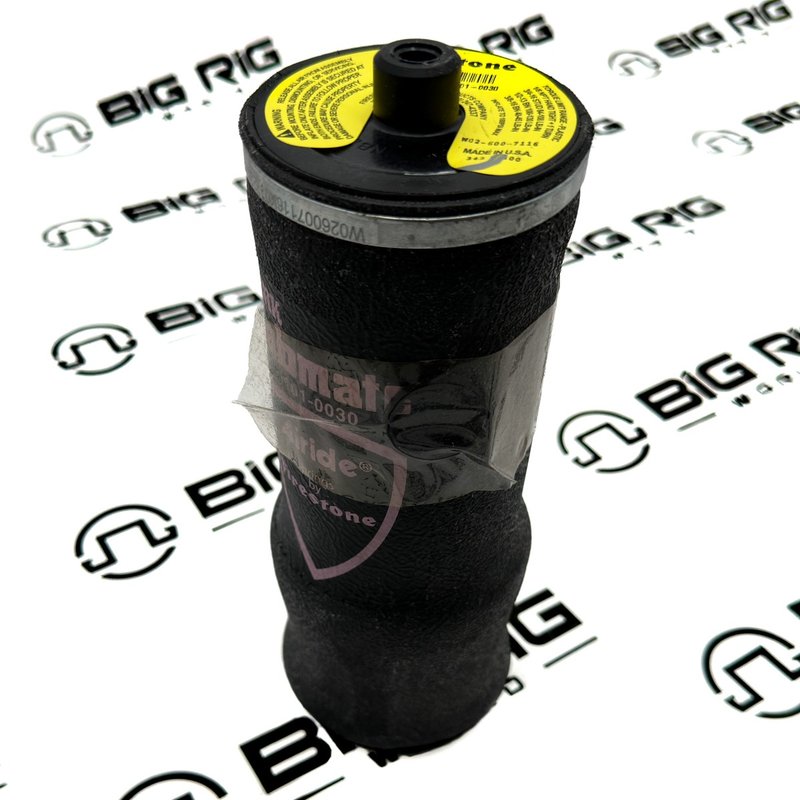 Air Spring, Cab Suspension 2507947C1 - International