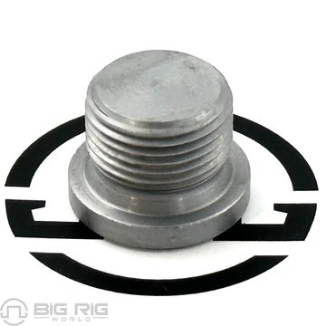 Plug - Sealing Fine Metric Thread 0336744PE - Paccar
