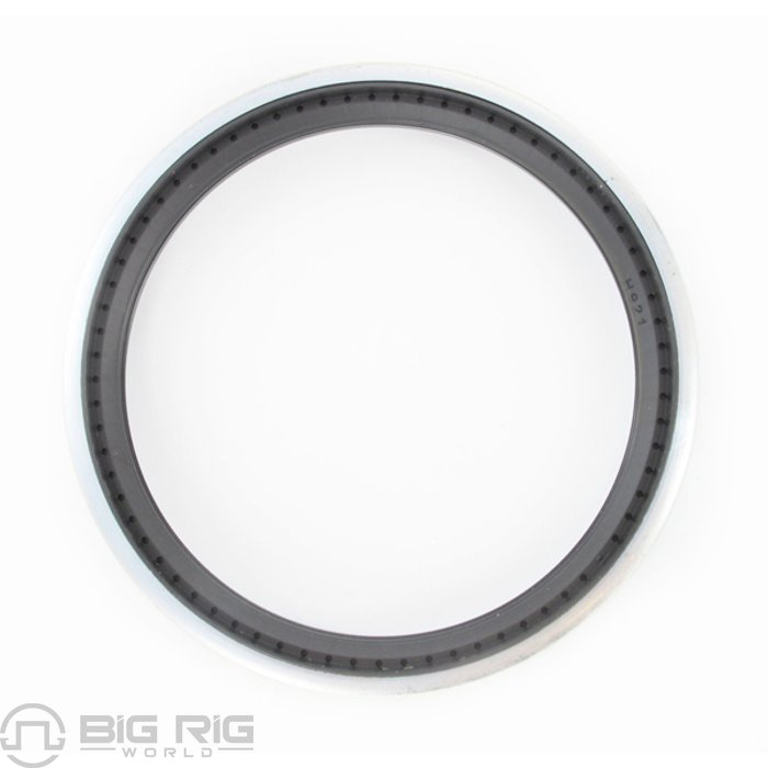 Seal 48690 - SKF