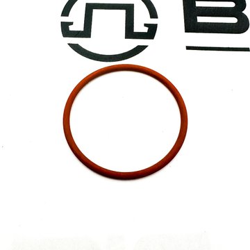 Lower Pump Unit O-Ring 1664753PE - Paccar Engine