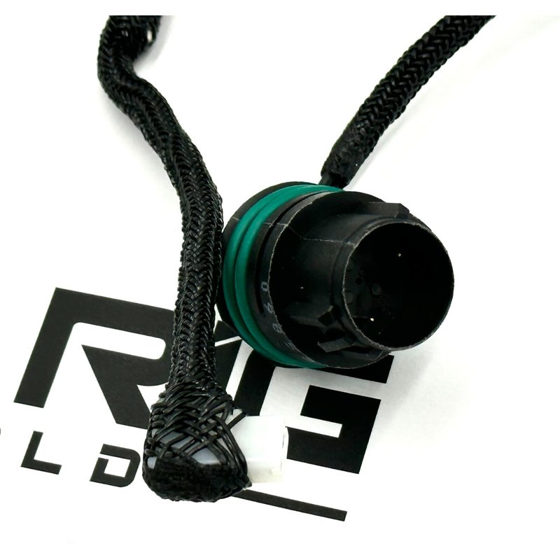 Wiring Harness 4331263 - Cummins