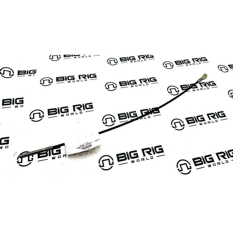Cable Assembly - Mounting, Air Tank, Step, Inboard 12-19593-000 - Freightliner