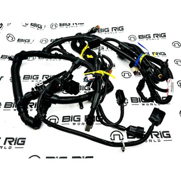 Harness Wiring - Engine 5590369 - Cummins