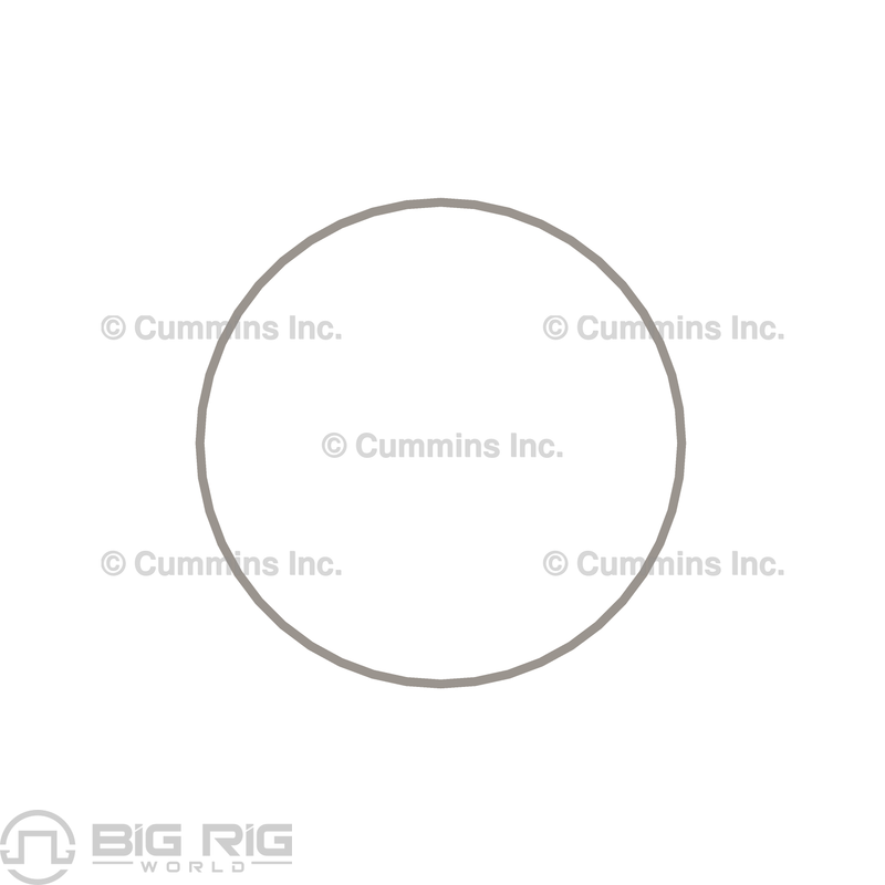 Liner Seal Ring 3054949 - Cummins