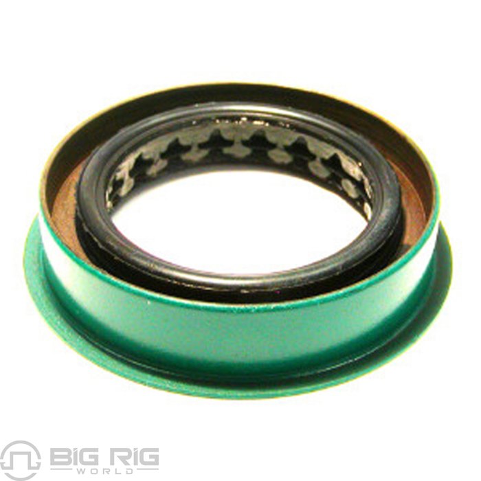 Seal 30100CHR - SKF