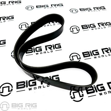 Engine Belt 12 Rib 1177mm D84-1002-121177 - Paccar
