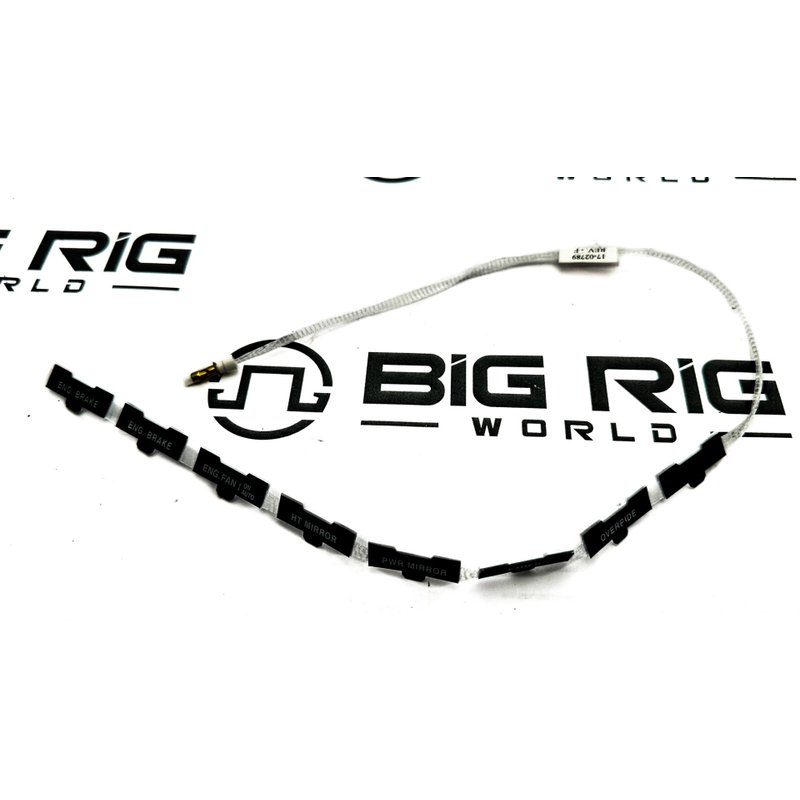 Ribbon - Fiber Optic 17-02789 - Peterbilt