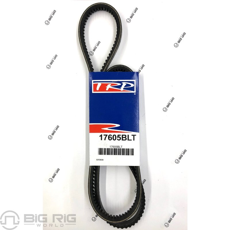V Belt - 17/32 TW X 60 1/2 EL 17605BLT - TRP