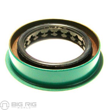 Seal 30100CHR - SKF