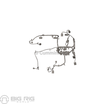 Harness Wiring - Engine 5332302 - Cummins