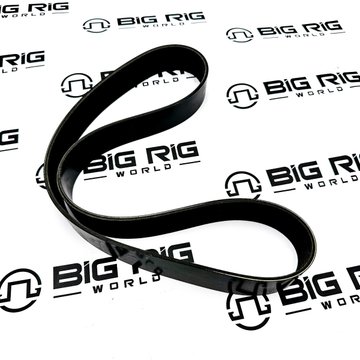 Engine Belt 12 Rib 1177mm D84-1002-121177 - Paccar