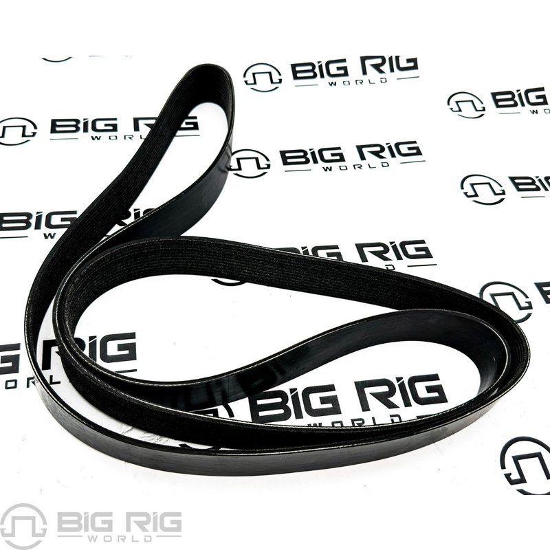 Belt-Poly 12 Rib X 85.8 El 858K12BLT - Paccar