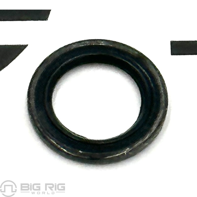 Sealing Washer 4934278 - Cummins