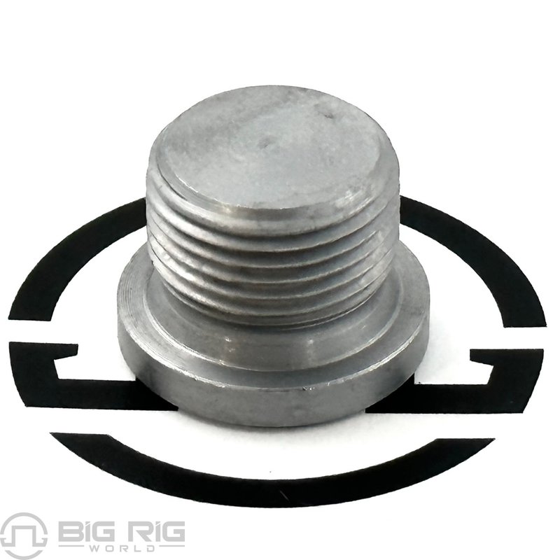 Plug - Sealing Fine Metric Thread 0336744PE - Paccar