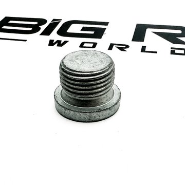 Screw Plug A0039907017 - Detroit Diesel
