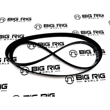 Ribbed V Belt 3974246 - Cummins