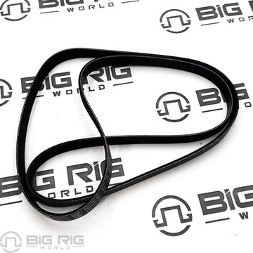 Belt, V Ribbed 3696704 - Cummins