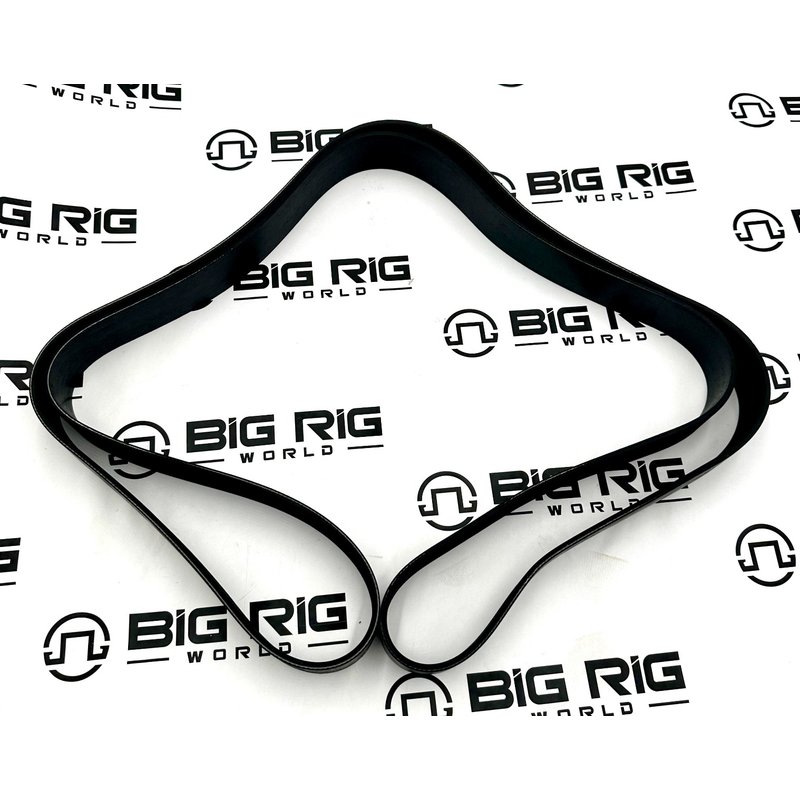 Belt-Poly 12 Ribs X 2665 End/Plystr D84-1000-6122665 - Paccar