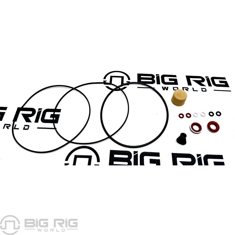 Kit-End Cap Seal M100 5544981 - Paccar