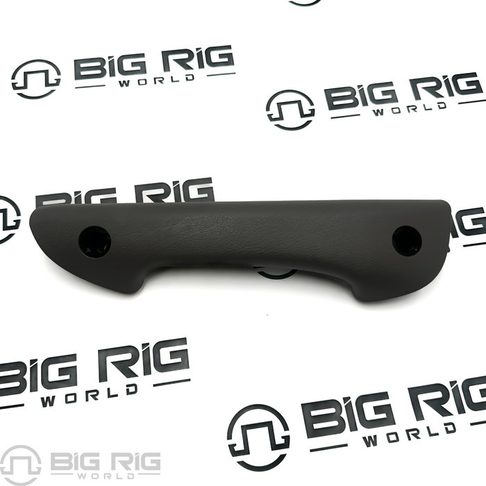 Door Pull Grip RH 74601TK110 - Kenworth