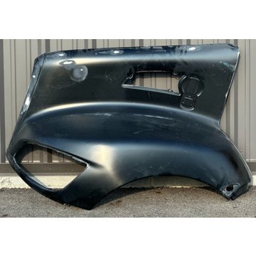 Skin-Hood Fender Side LH L79-1015 - Kenworth