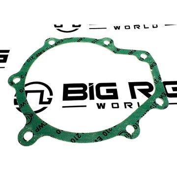 Gasket, W.P. A9062010080 - Detroit Diesel
