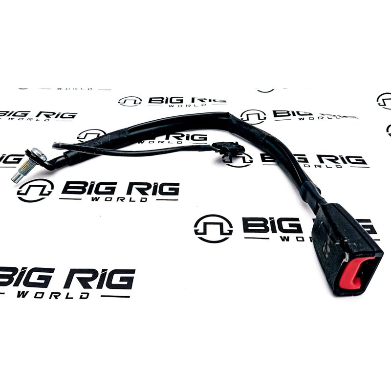 Belt, Buckle , Electric L9,24.0 In,.05A Switch 4383847C1 - International