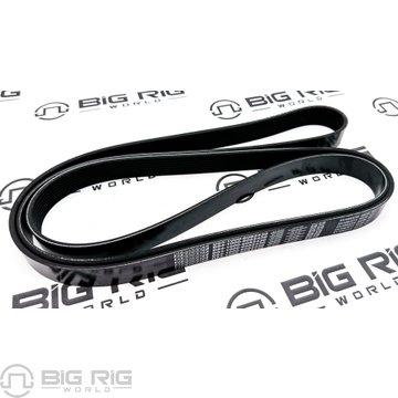 Belt-Poly 8 Ribs X 2430 End/Plystr D84-1000-6082430 - Paccar