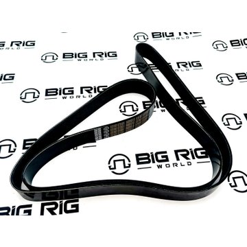Poly Rib Gold Label Belts 5120865DYC - Dayco