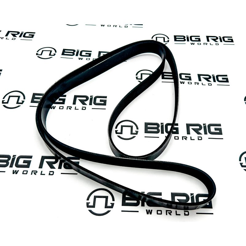 Belt-Poly 8 Ribs X 77 1/5 El 772K8BLT - Paccar