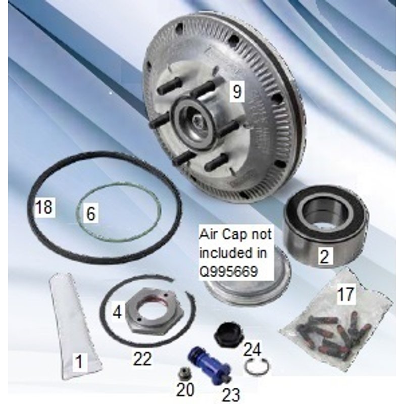Fan Clutch Repair Kit Q995669 - Horton