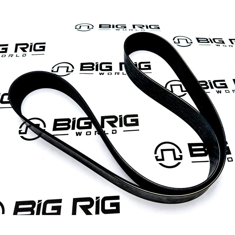 Belt-Engine 12 Rib 1451Mm D84-1002-121451 - OEM - Paccar - Big Rig