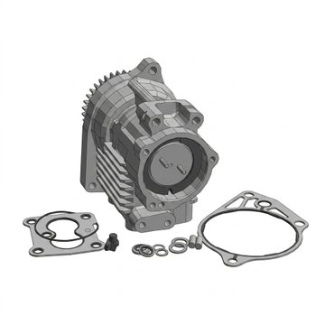 Fuel Pump Body 4307049PX - Cummins
