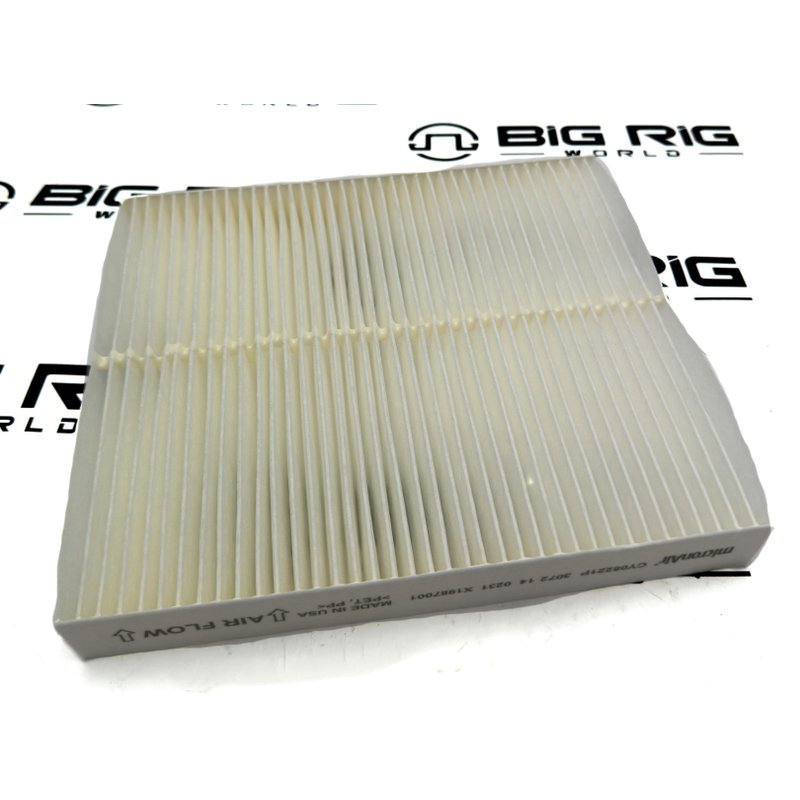 Air Filter, Cabin 4070948C1 - International