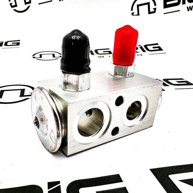 Expansion Valve 1000463486BSM - Bergstrom
