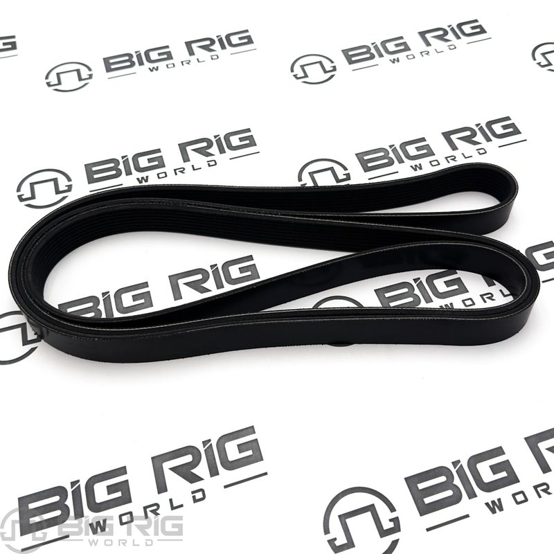 8 Rib Belt D84-1000-3082370 - Paccar