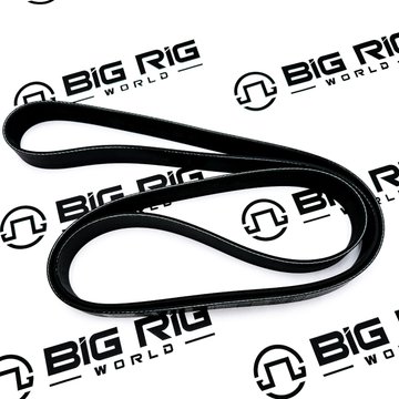 Engine Belt, 8 Rib, 2053mm, Poly D84-1011-082053 - Paccar