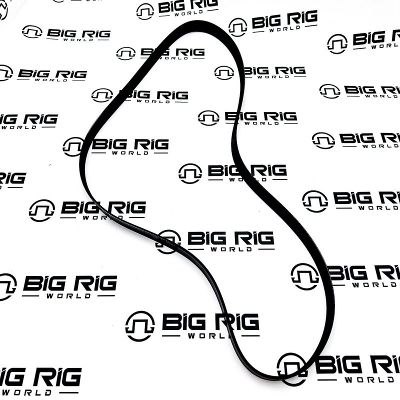 Belt-Poly 8 Ribs X 70     El 700K8BLT - Paccar