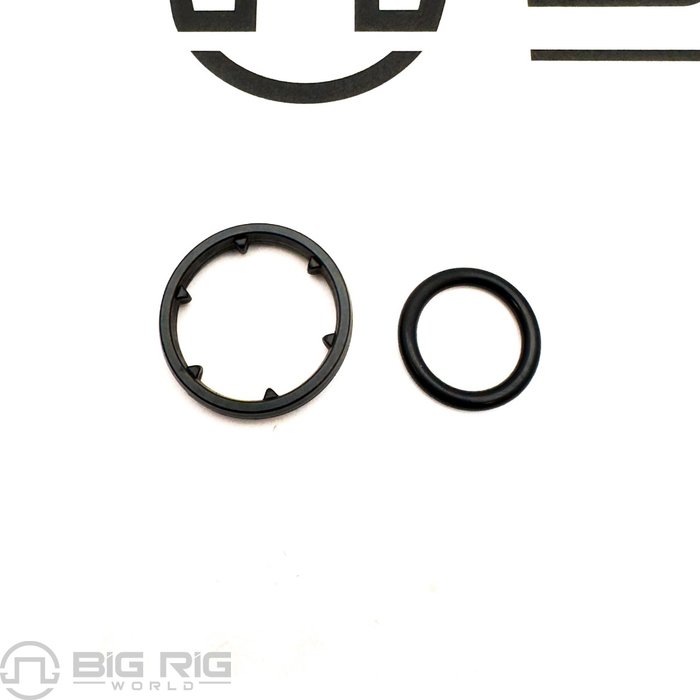 MX-13 O-Ring  2272923PE - Paccar Engine